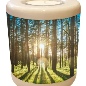 Gedenklicht mit Wald und Sonnenstrahlen