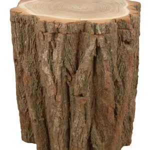 Baumstammurne Akazie