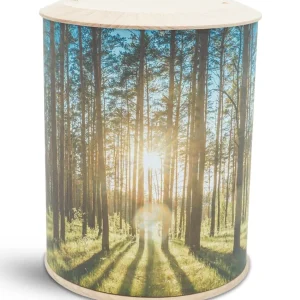 Fotourne – Hoffnungsvoller Lichtblick