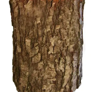 Baumstammurne aus Erle